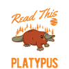 Schnabeltier Platypus