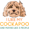 Cockapoo Chien