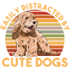 Cockapoo Chien