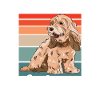 Cockapoo Dog