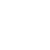 Cockapoo Hund