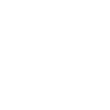 Ultramarathon Dog