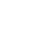 Cockapoo Dog