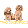 Cockapoo Chien