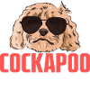 Cockapoo Chien