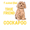 Cockapoo Chien