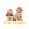 Cockapoo Chien