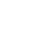 Veterinarian Veterinary Cat