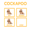 Cockapoo Chien