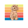 Cockapoo Chien