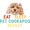 Cockapoo Chien
