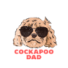 Cockapoo Chien
