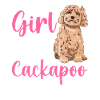 Cockapoo Dog