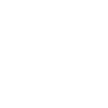 Chat de montgolfière
