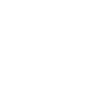 Cockapoo Dog