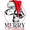 ALPINE DACHSBRACKE Christmas dog Wilsigns
