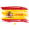 Spain national football team