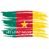 Cameroon national football team