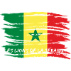 Senegal national football team