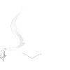 Smoke Joint