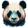 Visage de panda