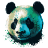Panda vert