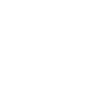 Badminton Team