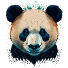 Panda Looking at you