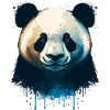 Panda Panda
