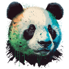 Visage de Panda