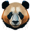 Desert Panda