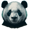 Strange Panda