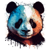 Panda Gift For Boys