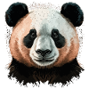 Panda Head