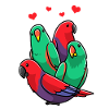 Noble parrot parrot bird