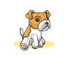 Kromfohrländer dog