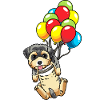 Morkie Dog Balloons