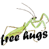 free hugs - Praying mantis