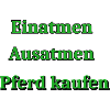 Pferd kaufen