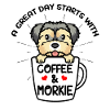 Morkie Dog