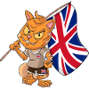 England Fan Cat