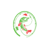 Christmas Angler Fish Pike Trout