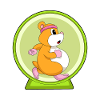 Roue de hamster hamster