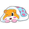 Hamster Sleeping Blanket