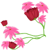 Pattern flowers pink plants