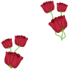 Pattern Red Rose Flowers