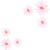rosa blomster blomst planter blomst