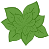 Feuilles vertes naturelles