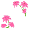 Pattern Pink Flower Plants