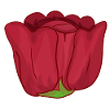 Flower Red Rose Symbol
